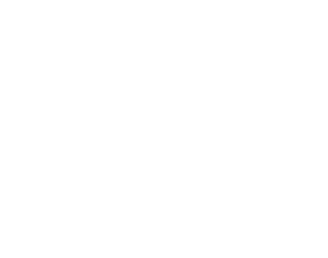 Concept Genesys